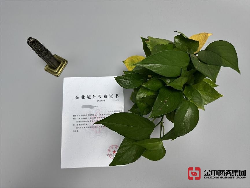 東南亞境外投資備案