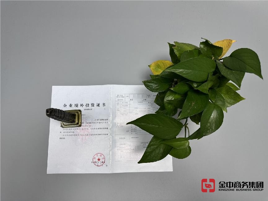 新加坡ODI備案登記