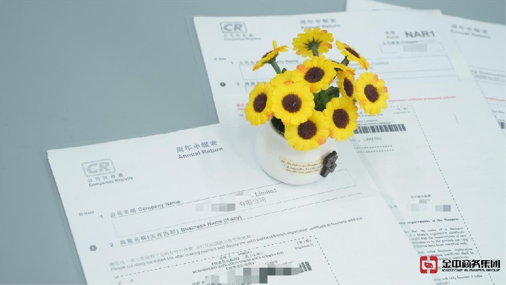 香港公司年審竟藏致命風(fēng)險？逾期后果超乎想象！